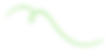 layer